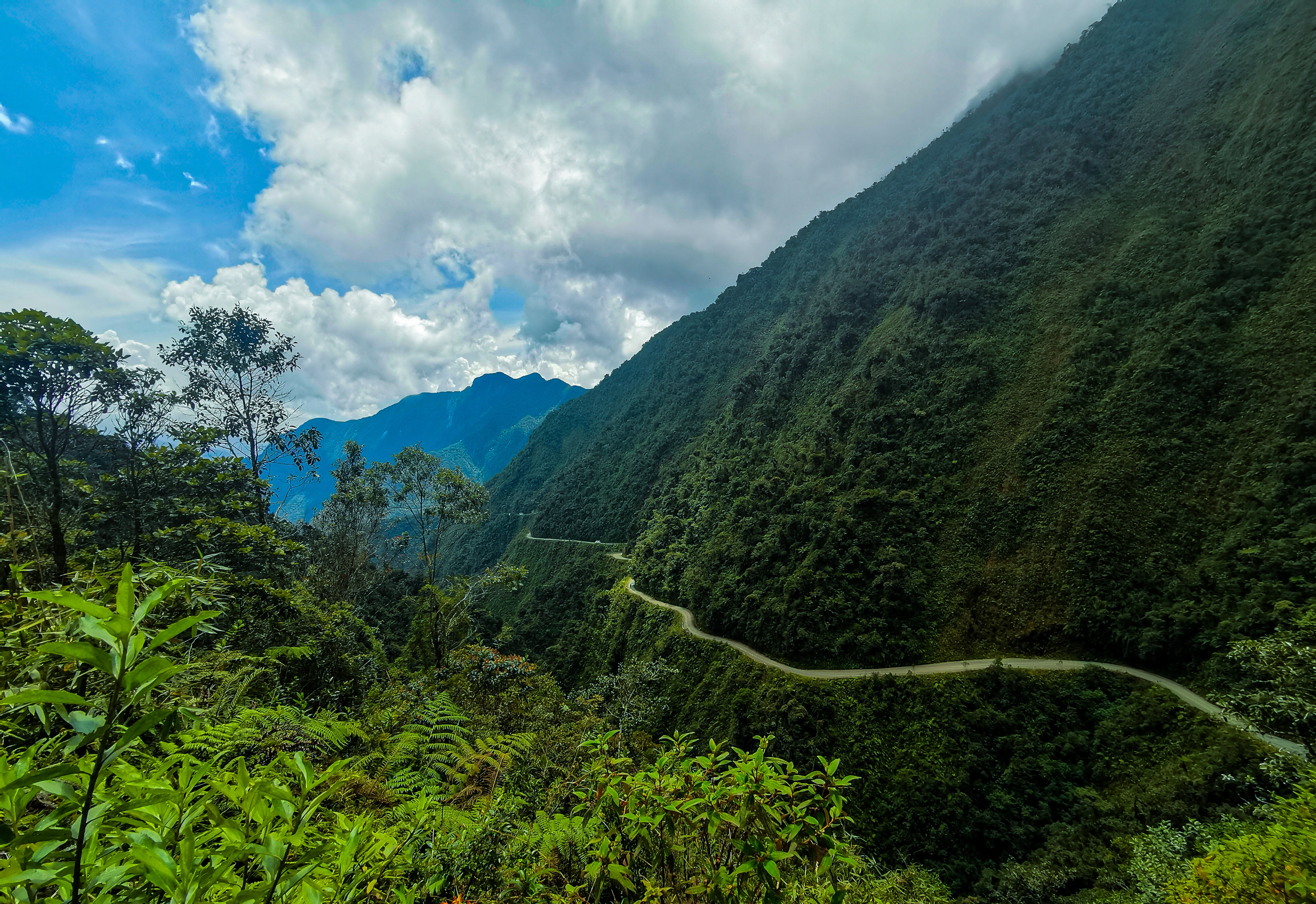 Camino de la muerte